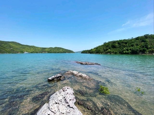 Plover Cove Country Park, Forest Feels and Total Escape Mode