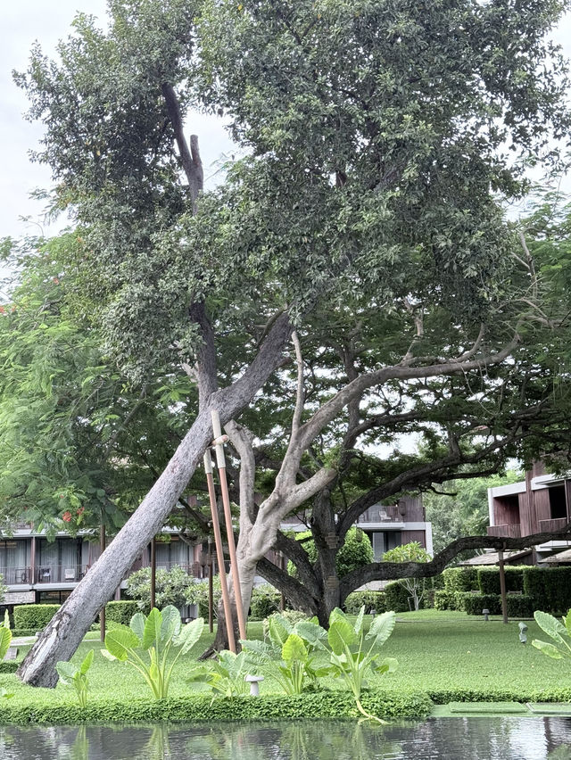 🌿 ที่พักสไตล์ไทยร่มรื่น ที่ต้องไปให้ได้! 🇹🇭✨