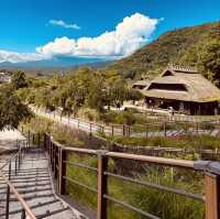 🏡 "Step Back in Time: Saiko Iyashi no Sato Nenba – Japan’s Picturesque Thatched-Roof Village
