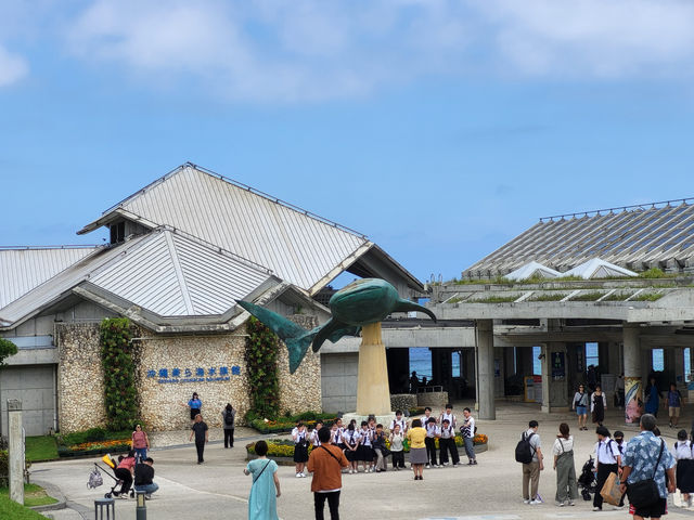 黑潮水槽震撼人心的海洋體驗/沖繩美麗海水族館