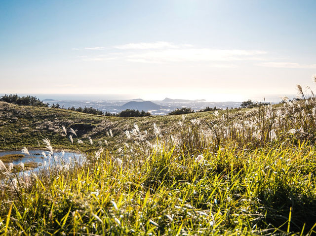 하늘을 걷는 순간, 제주에서 인생샷 날리다 🌾🏔