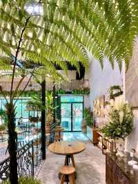 Knots Café & Living