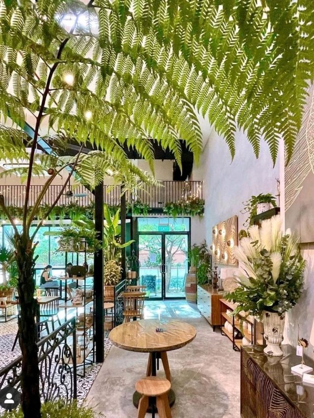 Knots Café & Living