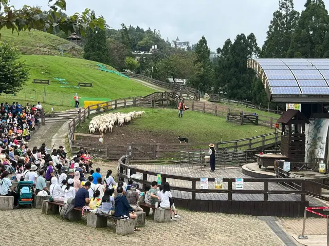 南投清境農場