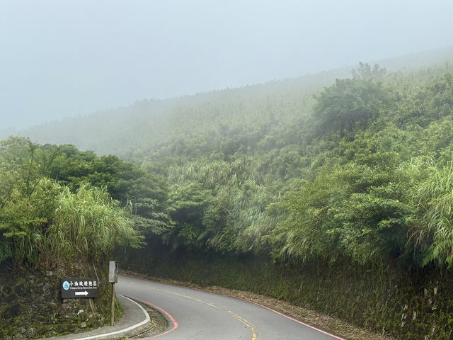 秘境推薦-陽明山竹子湖，賞花吃雞兩不誤，7月就是要涼爽與美味Combo！
