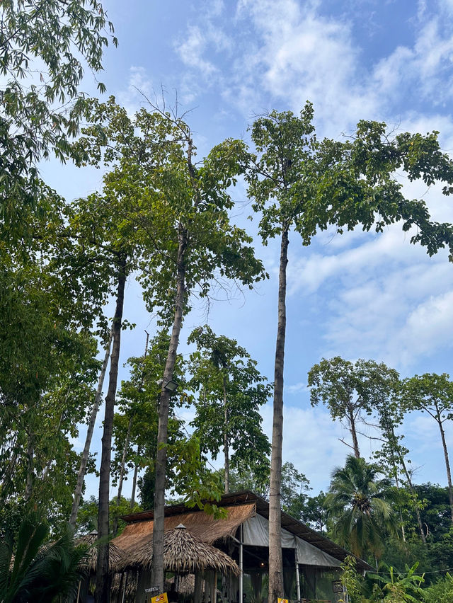 ABOUT COCO CAFÉ & BISTRO 🏝️🥥