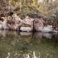 🌄 Mt. Mariglem Adventure Guide: Conquer Zambales’ Scenic Gem