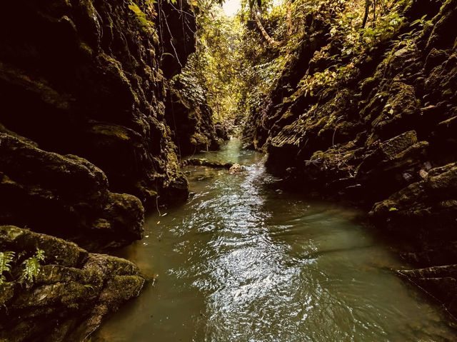Phong Nha - Kẻ Bàng: A Solo Traveler’s Paradise of Caves & Adventure! 🌿✨ Phong Nha - Kẻ Bàng: A Solo Traveler’s Paradise of Caves & Adventure! 🌿✨