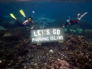 Hello Summer, Hello Snorkeling!  🤿
