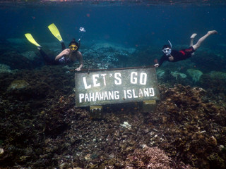 Halo Musim Panas, Halo Snorkeling!