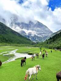 🇨🇳 The Last Pure Land on Earth