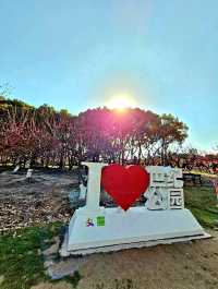 City’s Green Escape: Century Park