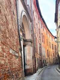 🌸🎨 Toulouse: The Pink City with a Soulful Southern Charm