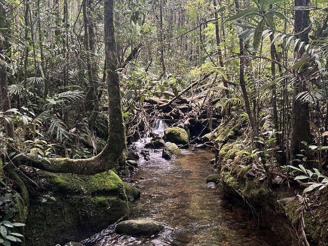 🌄 登上KK山的絕美旅程！