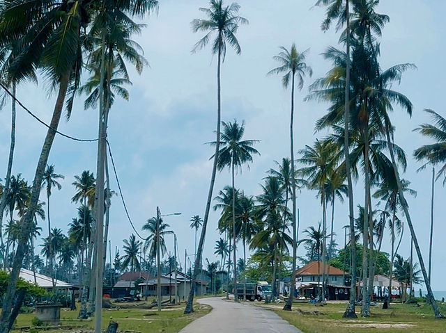 🌴 Pantai Jambu Bongkok – Serenity by the Shore