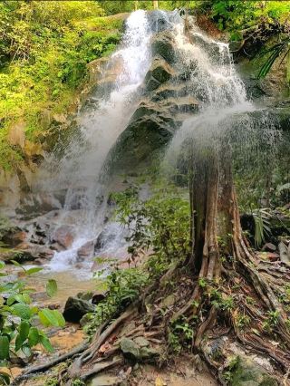 追尋寧靜：甘榜瀑布