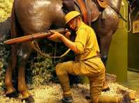 Cheshire Military Museum – Stories of Service and Sacrifice