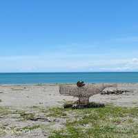 台東 大武9420濱海公園｜浪漫台9線起點💕