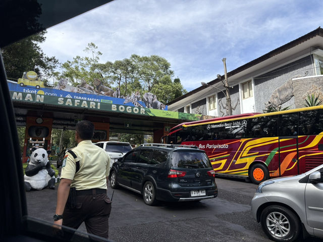 TikTok doesn’t help much. Let me make your life easier when visiting Taman Safari Bogor.