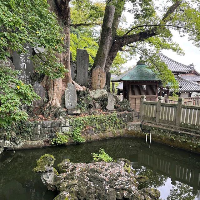 Naritasan Shinsho-ji (Narita) Naritasan Shinsho-ji (Narita)