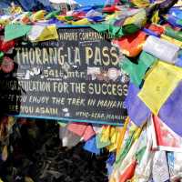 Roof of the World: My Solo Annapurna Adventure