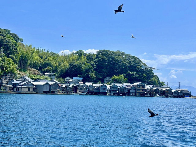 Ine Bay Kyoto 🇯🇵 สวยย So จึ้งใจมากกก 🩵
