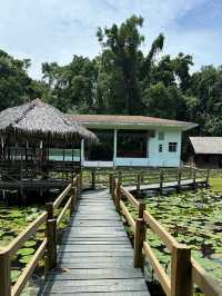 Sabah State Museum: A Window into Borneo’s Heritage