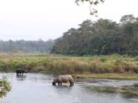 Chitwan National Park