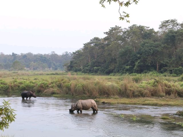 Chitwan National Park