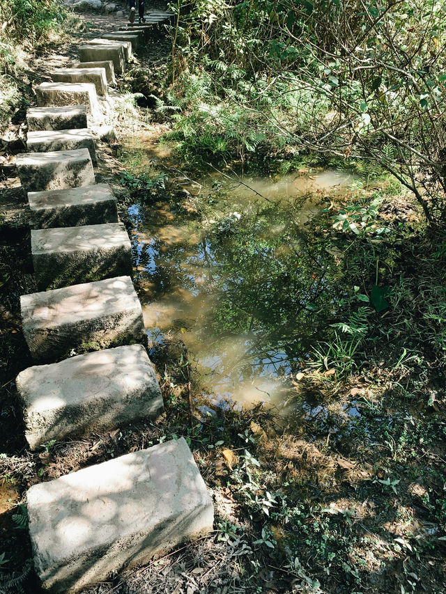 香港｜船灣郊野公園｜香港秋景名所｜船灣淡水湖畔的自然風光