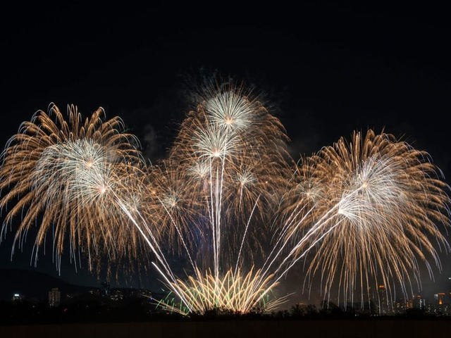 Tower Shines Bright✨  Austria's Pyrotechnic Symphony Over Macau