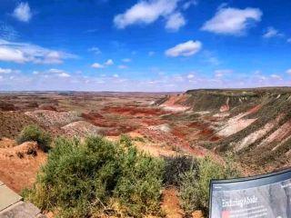 🌈 Petrified Forest National Park – A Journey Through Time