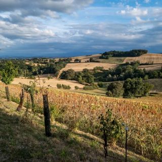 Discovering the Charm of Midi Pyrenees