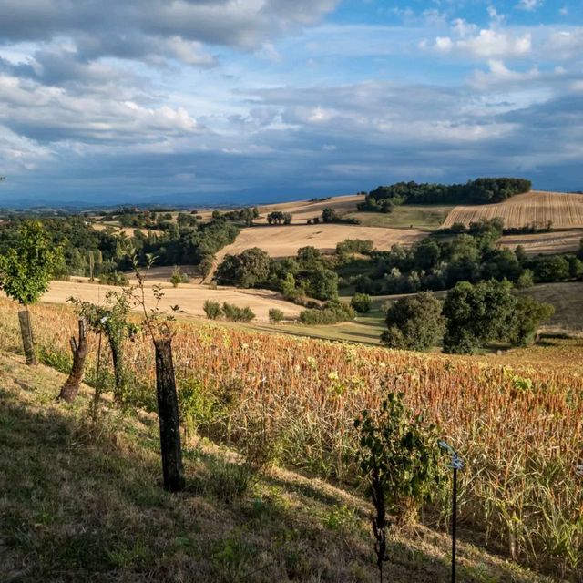 Discovering the Charm of Midi Pyrenees