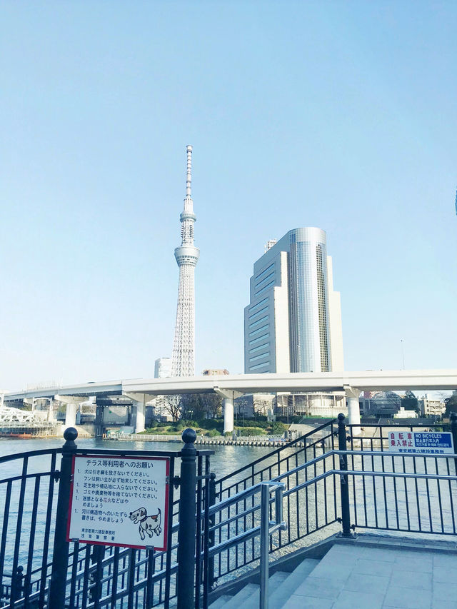 櫻花季東京五天四夜行程 p4 第一天行程 櫻花季東京五天四夜行程 p4 第一天行程