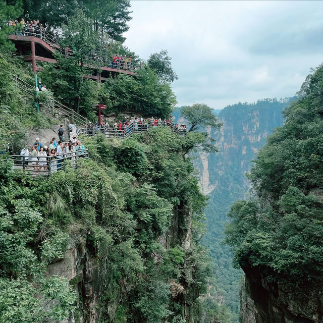 My Adventure in Yuanjiajie 