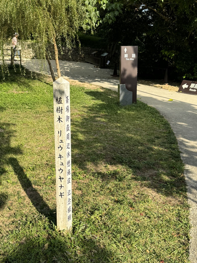 日本沖繩｜齋場御嶽久高島遙拝所：望向聖島的信仰之窗