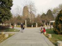 Xi’an ancient city walls, epic pagodas, lively local streets, and a surprise snowy adventure