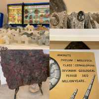 Morocco's Ammonite Crafts Treasures! 🐚