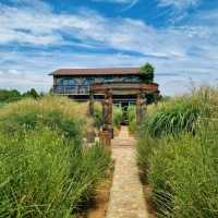 ํ์นด๋ฐ๋ , ํ์์ ํ๋ธ ํฅ ๊ฐ๋ํ ์ ์ ๐ฟ