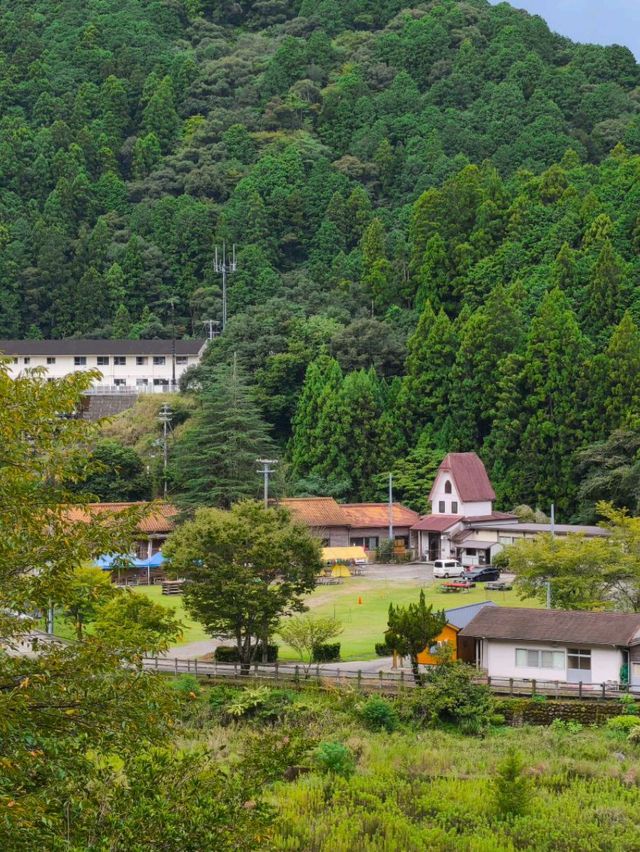 熊野古道中邊路徒步之旅 熊野古道中邊路徒步之旅