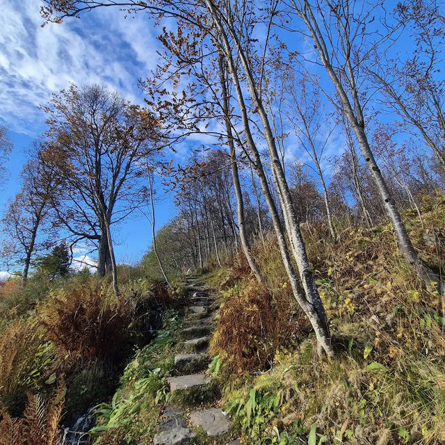 Arctic–Alpine Botanic Garden