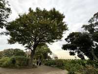 【神奈川県】港の見える丘公園で楽しむひと時