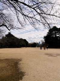 Strolling in Shinjuku Gyoen National Garden 🌿