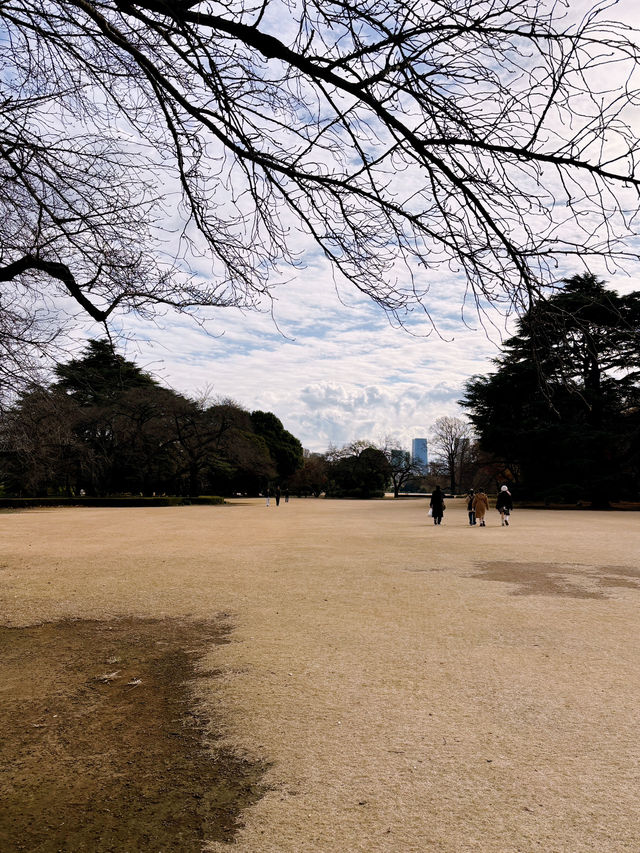 Strolling in Shinjuku Gyoen National Garden 🌿
