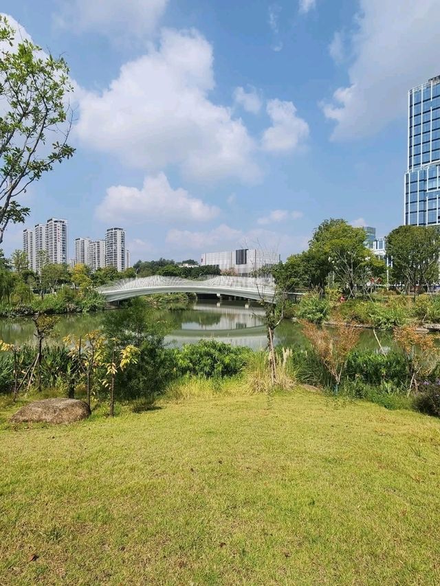 🏞️“Jinan Lake Park Pavilion – A Peaceful Gem by the Water”