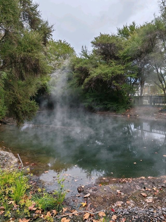 Kuirau Park, Rotorua: A Free Geothermal Wonder