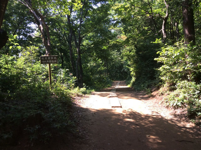 【福井・文殊山⛰】智恵の山で登山＆絶景パノラマを楽しむ