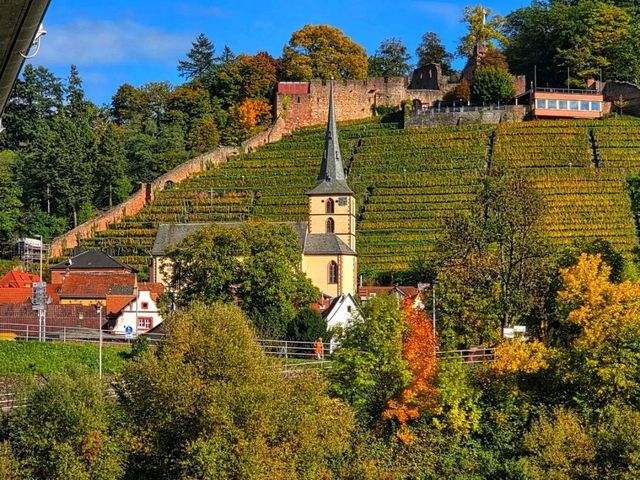 🏞️ Rhine Gorge – The Legendary Heart of the Romantic Rhine 🏞️ Rhine Gorge – The Legendary Heart of the Romantic Rhine