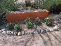 Desert Botanical Garden